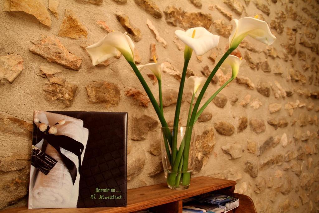 Maison d'hôtes Complejo Rural Turimaestrat à Sant Mateu Extérieur photo